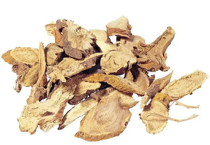 Cách Trồng Cây Khổ Sâm: Hướng Dẫn Từ A-Z Và Tác Dụng Ích Lợi