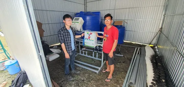 Cách Trồng Khoai Lang Đúng Kỹ Thuật, Cho Năng Suất Cao Tại Nhà Cách Trồng Khoai Lang Đúng Kỹ Thuật, Cho Năng Suất Cao Tại Nhà