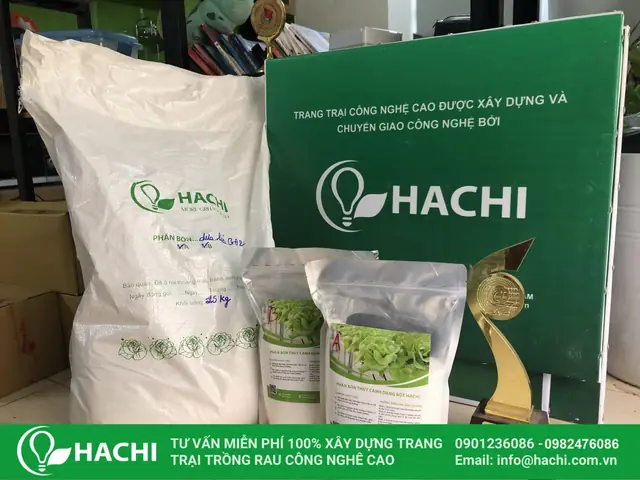 Cách Trồng Cây Lưỡi Hổ Bằng Nước: Hướng Dẫn Chi Tiết & Mẹo Chăm Sóc Hiệu Quả Cách Trồng Cây Lưỡi Hổ Bằng Nước: Hướng Dẫn Chi Tiết & Mẹo Chăm Sóc Hiệu Quả