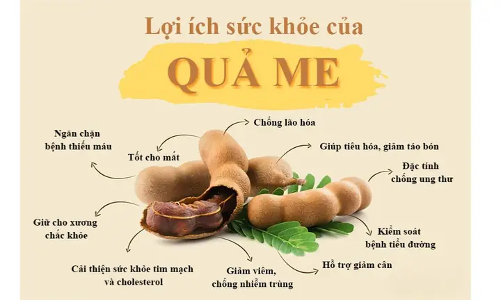 Hướng Dẫn Chi Tiết Cách Trồng Cây Me Đất Thơm Ngon Và Phát Triển Khỏe Mạnh Hướng Dẫn Chi Tiết Cách Trồng Cây Me Đất Thơm Ngon Và Phát Triển Khỏe Mạnh