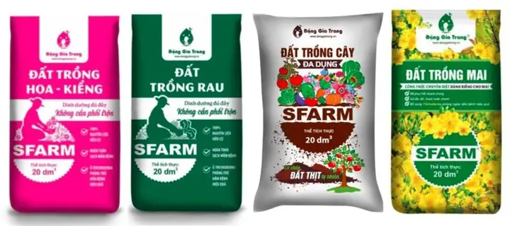 Hướng Dẫn Chi Tiết Cách Trồng Cây Me Rừng Thành Công Từ A-Z Hướng Dẫn Chi Tiết Cách Trồng Cây Me Rừng Thành Công Từ A-Z