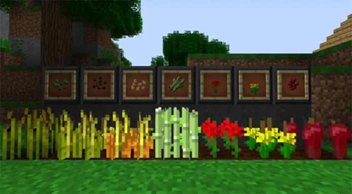 Cách Trồng Cây Hiệu Quả Và Nhanh Chóng Trong Minecraft Cách Trồng Cây Hiệu Quả Và Nhanh Chóng Trong Minecraft