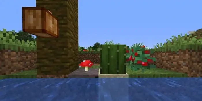 Cách Trồng Cây Hiệu Quả Và Nhanh Chóng Trong Minecraft Cách Trồng Cây Hiệu Quả Và Nhanh Chóng Trong Minecraft