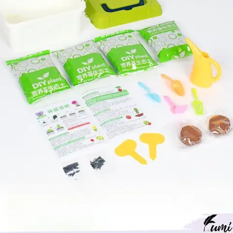 Hướng Dẫn Chi Tiết Cách Trồng Và Chăm Sóc Cây Mini Tại Nhà