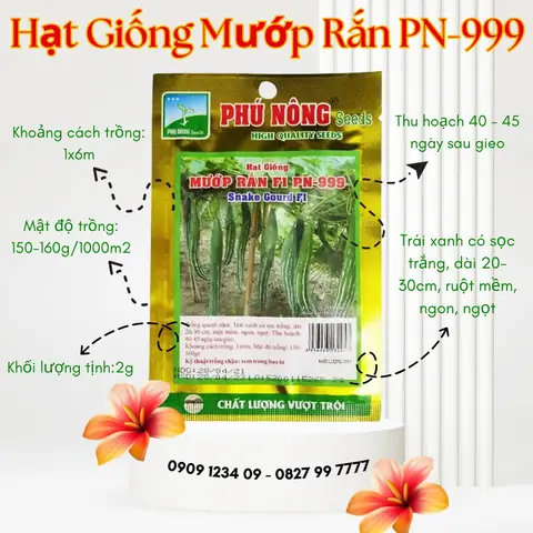 Hướng Dẫn Chi Tiết Cách Trồng Cây Mướp Rắn Cho Năng Suất Cao Hướng Dẫn Chi Tiết Cách Trồng Cây Mướp Rắn Cho Năng Suất Cao