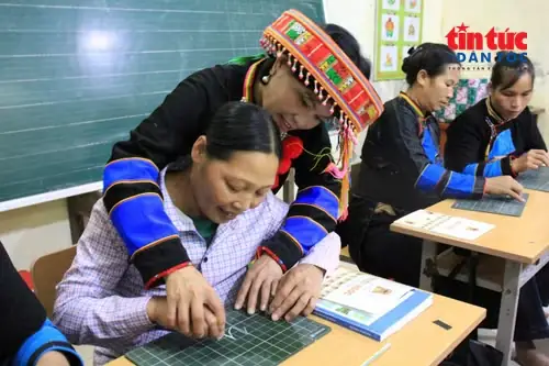 Cách Trồng Và Chăm Sóc Cây Nhót Ra Nhiều Trái, Năng Suất Cao Cách Trồng Và Chăm Sóc Cây Nhót Ra Nhiều Trái, Năng Suất Cao