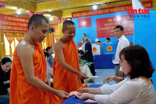 Cách Trồng Và Chăm Sóc Cây Nhót Ra Nhiều Trái, Năng Suất Cao Cách Trồng Và Chăm Sóc Cây Nhót Ra Nhiều Trái, Năng Suất Cao