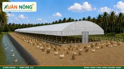 Cách Trồng Cây Oregano Tại Nhà: Hướng Dẫn Từ A-Z Cho Người Mới Bắt Đầu Cách Trồng Cây Oregano Tại Nhà: Hướng Dẫn Từ A-Z Cho Người Mới Bắt Đầu