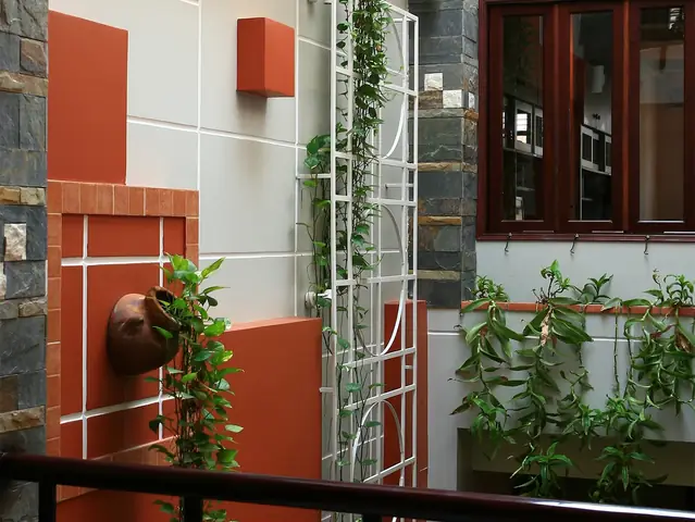 Cách Trồng Cây Phong Thủy: Chọn Cây, Đặt Đúng Chỗ Và Chăm Sóc