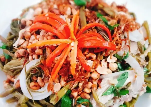 Cách Trồng Cây Rau Móp Đạt Năng Suất Cao, Kiếm Thu Nhập Tốt