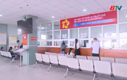 Cách Trồng Sâm Nam Núi Dành Sinh Trưởng Tốt, Tối Ưu Dược Tính
