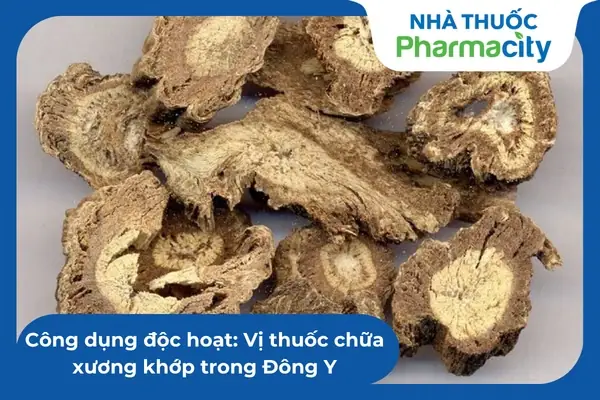 Cách Trồng Cây Sò Huyết (lẻ Bạn) Trong Nhà Và Ngoài Vườn