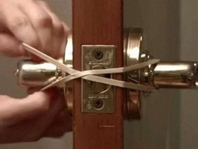 Cách Trồng Và Chăm Sóc Cây Trúc Mây (mật Cật) Đúng Kỹ Thuật: Hướng Dẫn Chi Tiết Từ Chọn Giống, Đất, Nước Đến Phong Thủy