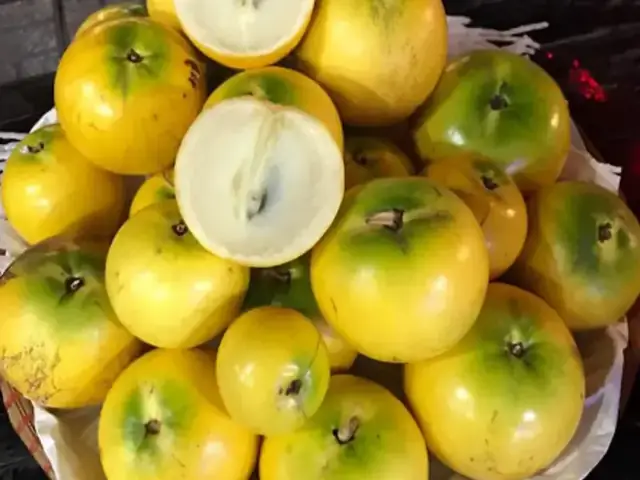 Hướng Dẫn Chi Tiết Cách Trồng Cây Vú Sữa Trong Chậu Cho Sai Trĩu Quả