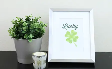 Cách Trồng Cỏ Ba Lá: Hướng Dẫn Chi Tiết Từ A-Z Cho Người Mới Bắt Đầu