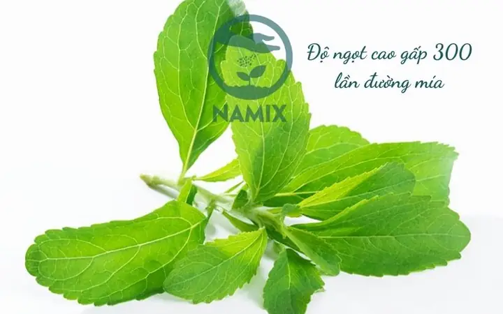 Cách Trồng Cỏ Ngọt Tại Nhà: Hướng Dẫn Chi Tiết Từ A-Z