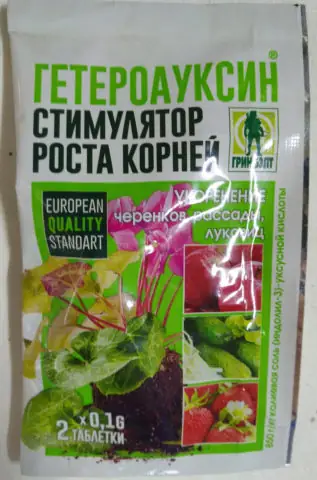 Cách Trồng Cỏ Roi Ngựa Từ Hạt, Giâm Cành Và Chăm Sóc Ra Hoa Cách Trồng Cỏ Roi Ngựa Từ Hạt, Giâm Cành Và Chăm Sóc Ra Hoa