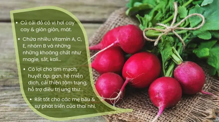 Cách Trồng Củ Cải Đỏ Tại Nhà Từ Hạt Đến Thu Hoạch