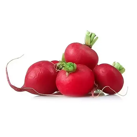 Cách Trồng Củ Cải Đỏ Mini Tại Nhà Dễ Dàng Cho Người Mới Bắt Đầu