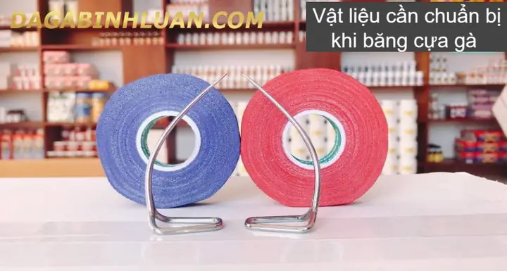 Hướng Dẫn Trồng Cựa Gà Đá: Kỹ Thuật Chuẩn Từ A-Z Cho Kê Thủ
