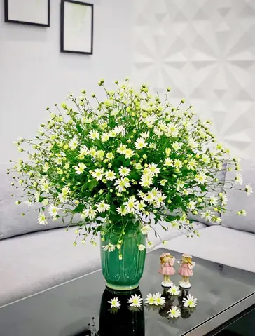 Hướng Dẫn Cách Trồng Cúc Họa Mi Bằng Cành (giâm Cành) Chi Tiết: Từ Chọn Cành, Giâm Không Cần Thuốc Đến Chăm Sóc Ra Hoa Nhiều Hướng Dẫn Cách Trồng Cúc Họa Mi Bằng Cành (giâm Cành) Chi Tiết: Từ Chọn Cành, Giâm Không Cần Thuốc Đến Chăm Sóc Ra Hoa Nhiều
