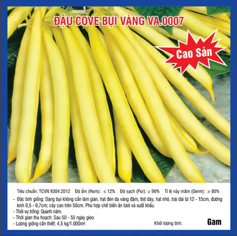 Hướng Dẫn Trồng Đậu Cove Vàng Sai Quả, Nhanh Thu Hoạch Tại Nhà Hướng Dẫn Trồng Đậu Cove Vàng Sai Quả, Nhanh Thu Hoạch Tại Nhà