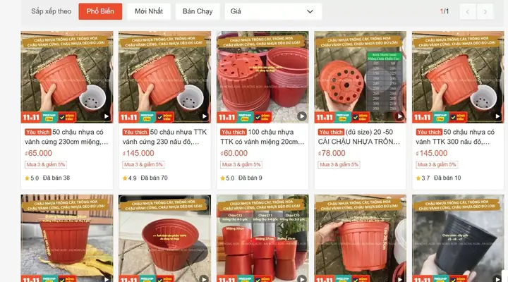 Cách Trồng Dâu Tây Trên Luống: Kỹ Thuật, Chăm Sóc Và Chống Thối Quả