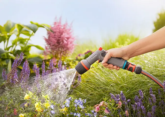 Hướng Dẫn Trồng Dưa Leo Từ Hạt Tại Nhà Đơn Giản, Năng Suất Cao