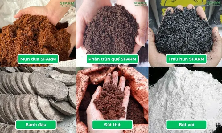 Hướng Dẫn Chi Tiết Cách Trồng Dưa Lưới Nhật Bản Cho Năng Suất Vượt Trội Hướng Dẫn Chi Tiết Cách Trồng Dưa Lưới Nhật Bản Cho Năng Suất Vượt Trội