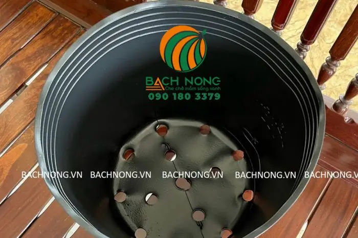Cách Trồng Dưa Lưới Trong Thùng Xốp Cho Quả Ngọt Sai Trĩu, Chuẩn Chuyên Gia Tại Nhà Cách Trồng Dưa Lưới Trong Thùng Xốp Cho Quả Ngọt Sai Trĩu, Chuẩn Chuyên Gia Tại Nhà