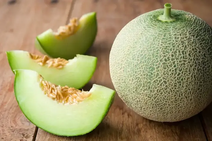 Cách Trồng Dưa Trên Sân Thượng: Kỹ Thuật Trồng Dưa Lưới Sai Quả Cách Trồng Dưa Trên Sân Thượng: Kỹ Thuật Trồng Dưa Lưới Sai Quả