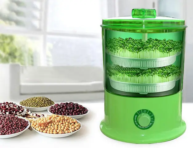 Cách Trồng Giá Đậu Nành Mập, Ngon Chuẩn Vị Tại Nhà