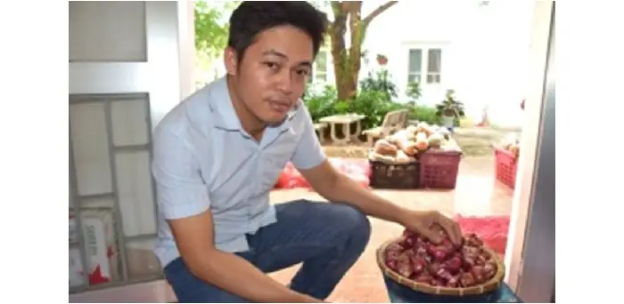 Cách Trồng Hành Tím Từ Hạt: Hướng Dẫn Chi Tiết Từ A-Z Cách Trồng Hành Tím Từ Hạt: Hướng Dẫn Chi Tiết Từ A-Z