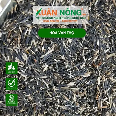 Hướng Dẫn Chi Tiết Cách Trồng Hạt Giống Hoa Tại Nhà Đúng Kỹ Thuật