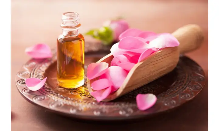 Cách Trồng Hoa Hồng Leo Pháp: Hướng Dẫn Chọn Giống, Trồng Và Chăm Sóc Tại Nhà Cách Trồng Hoa Hồng Leo Pháp: Hướng Dẫn Chọn Giống, Trồng Và Chăm Sóc Tại Nhà