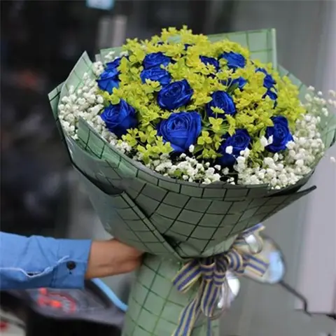 Cách Trồng Hoa Hồng Xanh Tại Nhà: Chọn Giống, Trồng Cây Và Chăm Sóc Cách Trồng Hoa Hồng Xanh Tại Nhà: Chọn Giống, Trồng Cây Và Chăm Sóc
