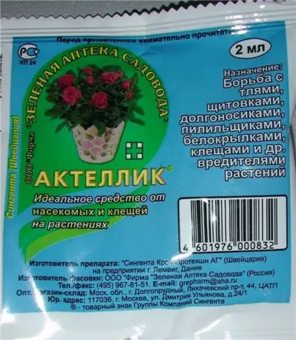 Cách Trồng Hoa Lobelia Từ Hạt Giống: Kỹ Thuật Gieo Hạt Và Chăm Sóc Cây Rủ