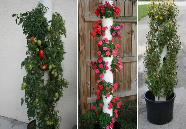 Cách Trồng Hoa Trong Ống Nhựa PVC Tại Nhà: Chọn Mẫu, Trồng Và Chăm Sóc Cách Trồng Hoa Trong Ống Nhựa PVC Tại Nhà: Chọn Mẫu, Trồng Và Chăm Sóc