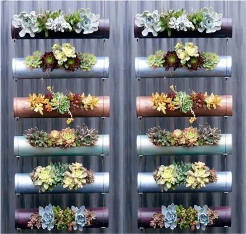 Cách Trồng Hoa Trong Ống Nhựa PVC Tại Nhà: Chọn Mẫu, Trồng Và Chăm Sóc Cách Trồng Hoa Trong Ống Nhựa PVC Tại Nhà: Chọn Mẫu, Trồng Và Chăm Sóc
