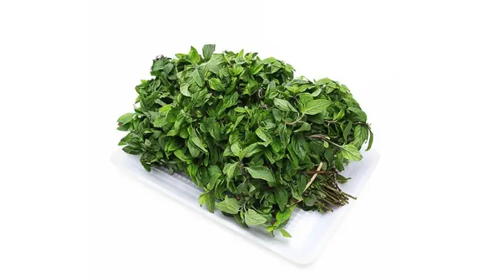 Cách Trồng Húng Láng Tại Nhà Bằng Hạt Và Cành Cắt Để Ra Nhiều Lá