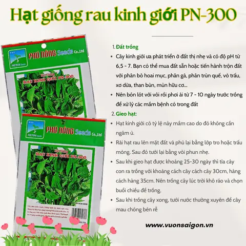 Cách Trồng Kinh Giới Từ Hạt Đơn Giản, Đúng Chuẩn Tại Nhà