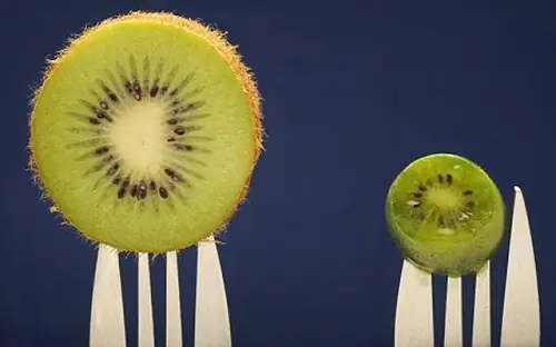 Hướng Dẫn Chi Tiết Cách Trồng Cây Kiwi Từ Hạt Tại Nhà
