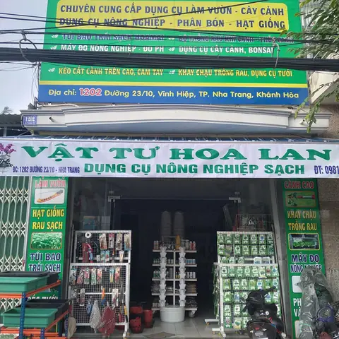 Cách Trồng Lan Bằng Than Củi: Hướng Dẫn Chi Tiết & Xử Lý Giá Thể Đúng Chuẩn Cách Trồng Lan Bằng Than Củi: Hướng Dẫn Chi Tiết & Xử Lý Giá Thể Đúng Chuẩn