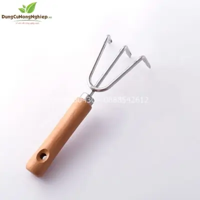 Cách Trồng Lan Bằng Than Củi: Hướng Dẫn Chi Tiết & Xử Lý Giá Thể Đúng Chuẩn Cách Trồng Lan Bằng Than Củi: Hướng Dẫn Chi Tiết & Xử Lý Giá Thể Đúng Chuẩn