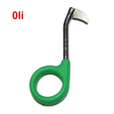 Cách Trồng Lan Bằng Than Củi: Hướng Dẫn Chi Tiết & Xử Lý Giá Thể Đúng Chuẩn Cách Trồng Lan Bằng Than Củi: Hướng Dẫn Chi Tiết & Xử Lý Giá Thể Đúng Chuẩn