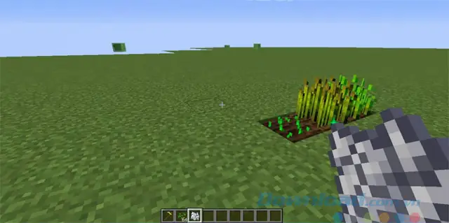 Cách Trồng Lúa Mì Hiệu Quả Trong Minecraft: Hướng Dẫn Chi Tiết Cho Người Mới Bắt Đầu