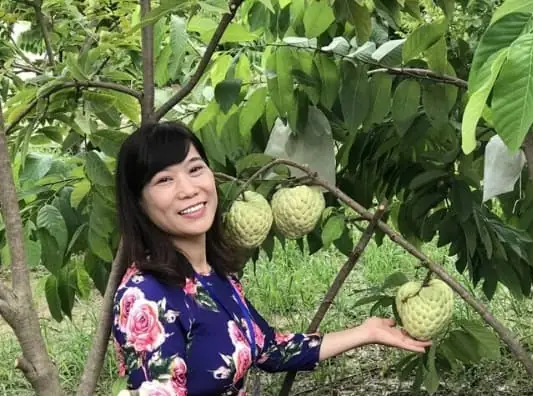 Hướng Dẫn Chi Tiết Kỹ Thuật Trồng Và Chăm Sóc Cây Na Thái Cho Năng Suất Cao