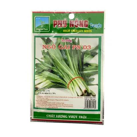 Hướng Dẫn Chi Tiết Cách Trồng Ngò Gai Từ Hạt Để Đạt Năng Suất Cao Tại Nhà