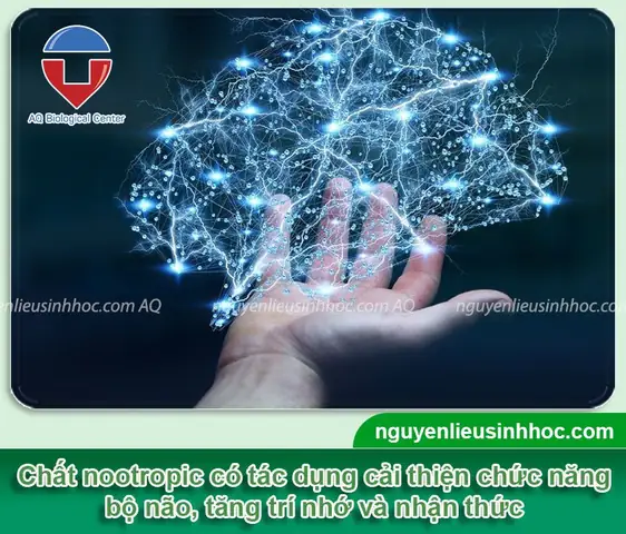 Cách Trồng Nhãn Trong Chậu: Hướng Dẫn Chi Tiết Từ A-Z Cho Trái Ngọt Quanh Năm Cách Trồng Nhãn Trong Chậu: Hướng Dẫn Chi Tiết Từ A-Z Cho Trái Ngọt Quanh Năm