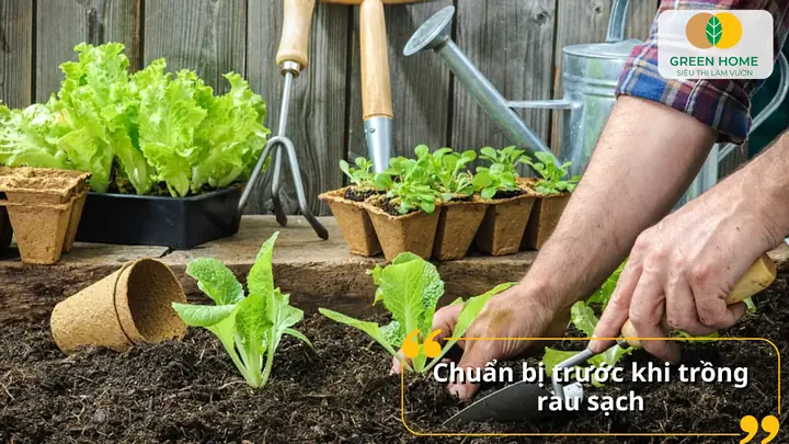 Hướng Dẫn Chi Tiết Cách Trồng Rau An Toàn Tại Nhà Cho Người Mới Bắt Đầu